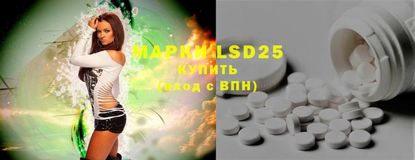 ГАЛЛЮЦИНОГЕННЫЕ ГРИБЫ Абаза