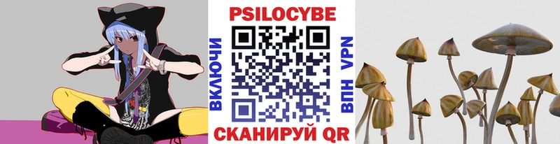 Псилоцибиновые грибы мухоморы  цены   Среднеколымск 